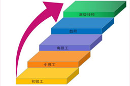 广东：全面推进职业技能等级认定工作取得阶段性成效
