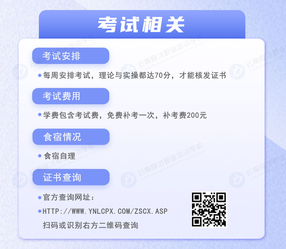 泵˾N1֤鿼